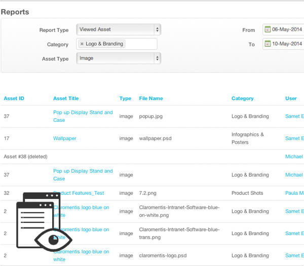 Screenshot of a report on assets