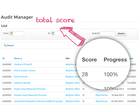 screenshot showing total score of an audit