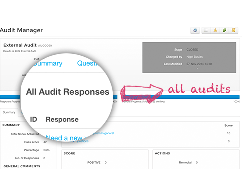 Image screenshot showing audit responses