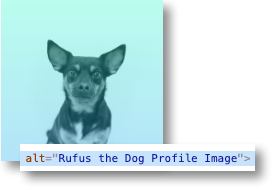 Image of a dog explained in alt tags for digital accessibility