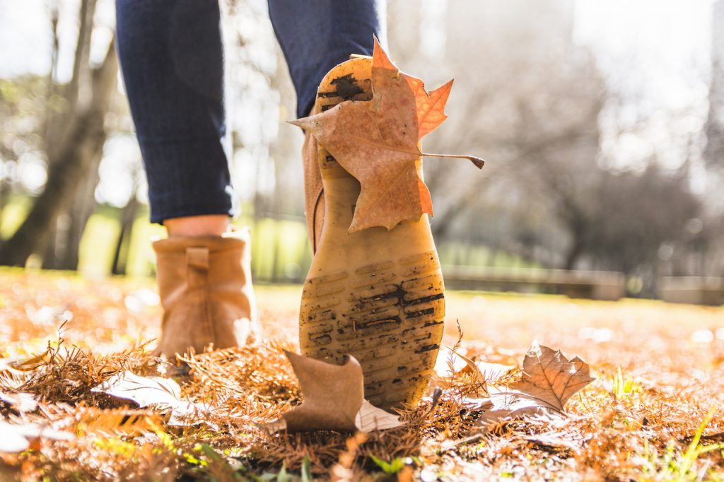 Why Autumn is the Best Time to Boost Your Business Culture | Claromentis